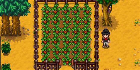 sabalo stardew|Strawberry .